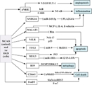 Altered expression of long non-coding RNAs NRON and SNHG11 in patients with ischemic stroke