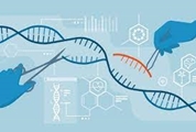 The Potential Revolution of Cancer Treatment with CRISPR Technology